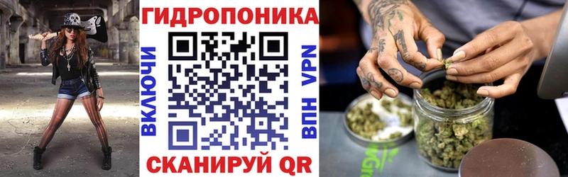 Каннабис Amnesia мориарти как зайти Углегорск что такое